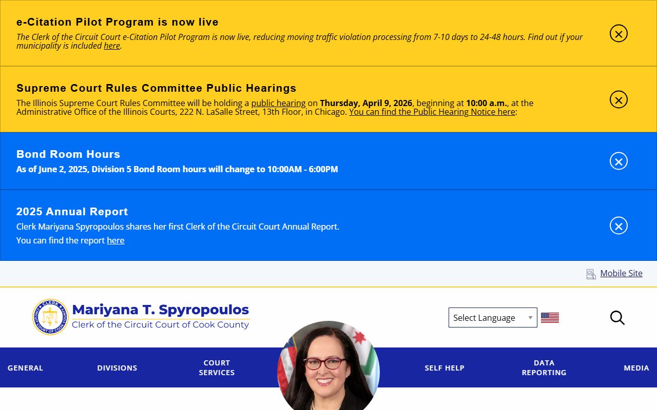 Cook County Criminal Department page for criminal history records